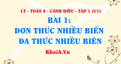 Đơn thức, đa thúc nhiều biến, thu gọn là gì, cách tính giá trị của đa thức? Toán 8 bài 1 c1cd1